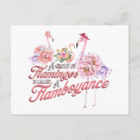 Postcard with flamboyant flamingos 