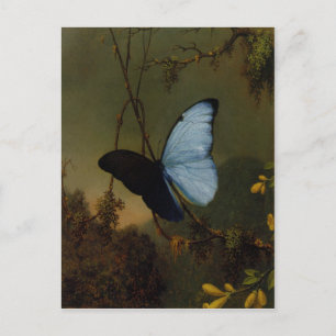 Postcard With Martin Johnson Heade Painting