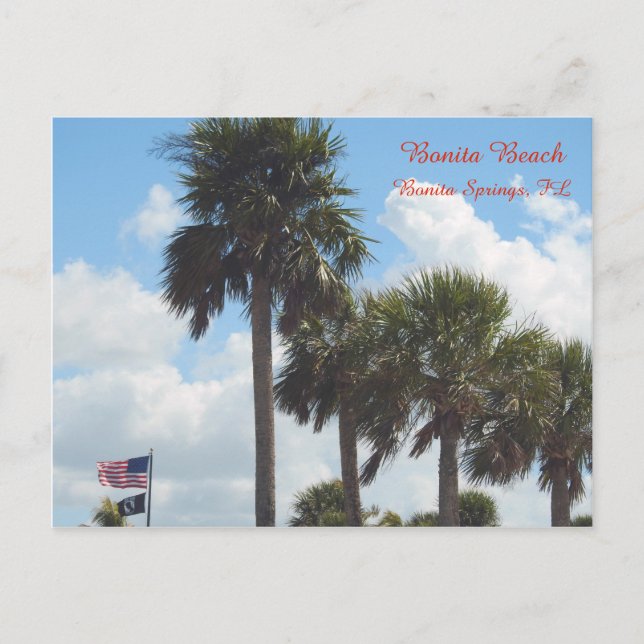 Postcard with Palm Trees on the beach (Front)