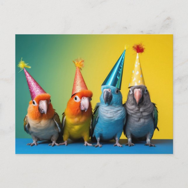 Postcard with Parrots with Party Hats on (Front)