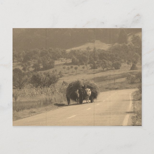 Postcard with Picturesque Cottage Image (Front)