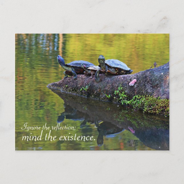 Postcard with Quote (Front)