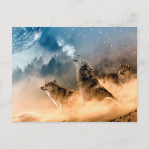 Postcard/Wolves Postcard