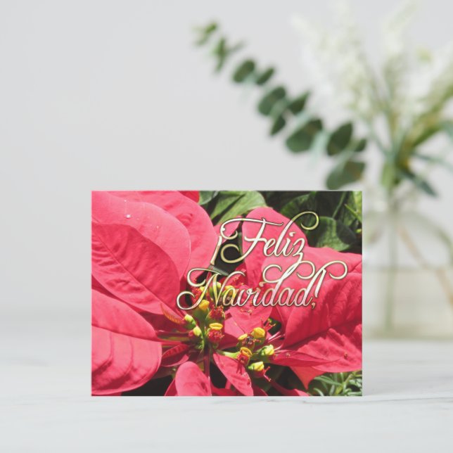 Postcard Xmas 002 -Spanish - Postcard (Standing Front)