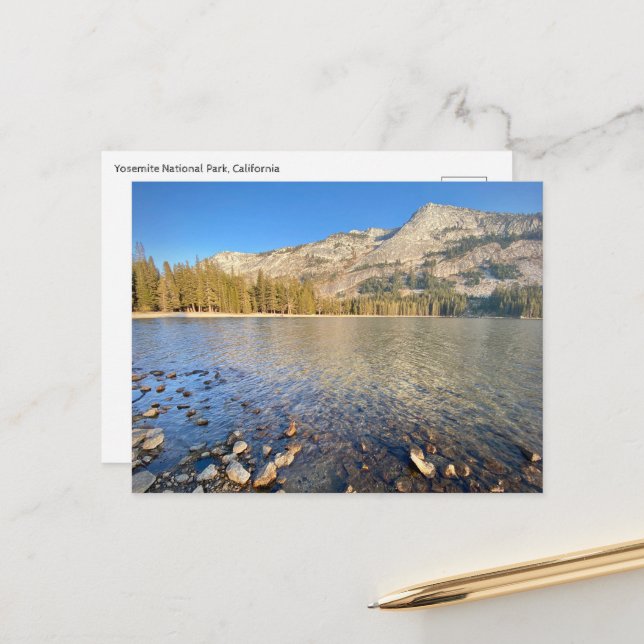 Postcard - Yosemite National Park (Front/Back In Situ)