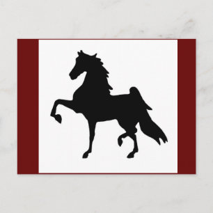 Postcards - American Saddlebred Silhoutte