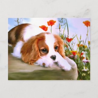 Postcards designed by Beate Jonassen.