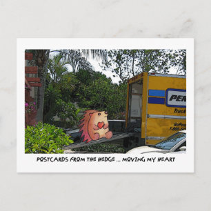 POSTCARDS FROM THE hEDGE!