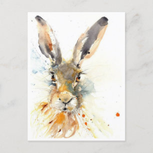 Postcards - Hare Today Gone Tomorrow!