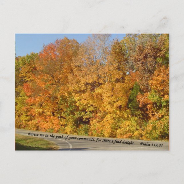 Postcards: Path to Delight Postcard (Front)