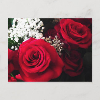 Postcards Red Roses Baby's Breath Bouquet Blank PC