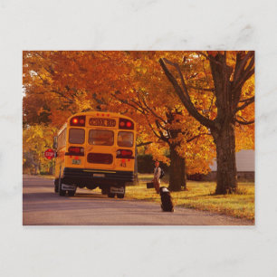 POSTCARDS   SCHOOL BUS