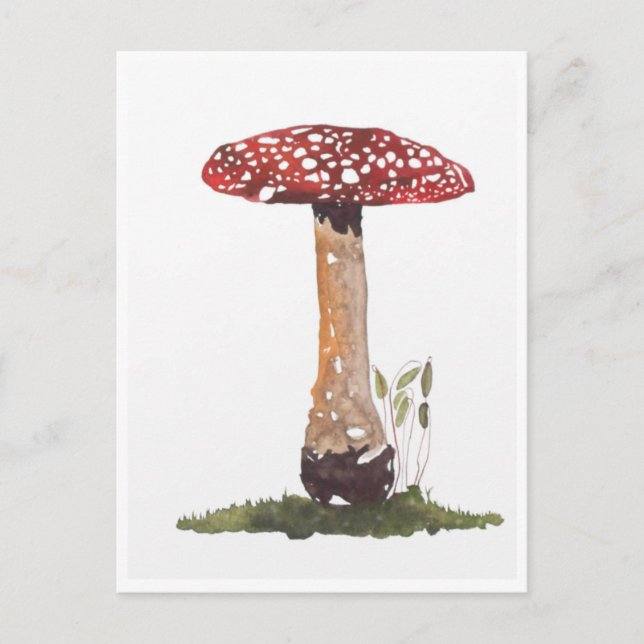 Postcards - Study Fly Agaric Mushroom Watercolor (Front)