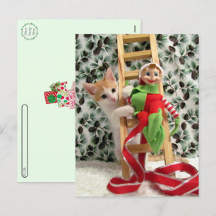 Postcrossing - Annie The Kitten and the Elf Holiday Postcard