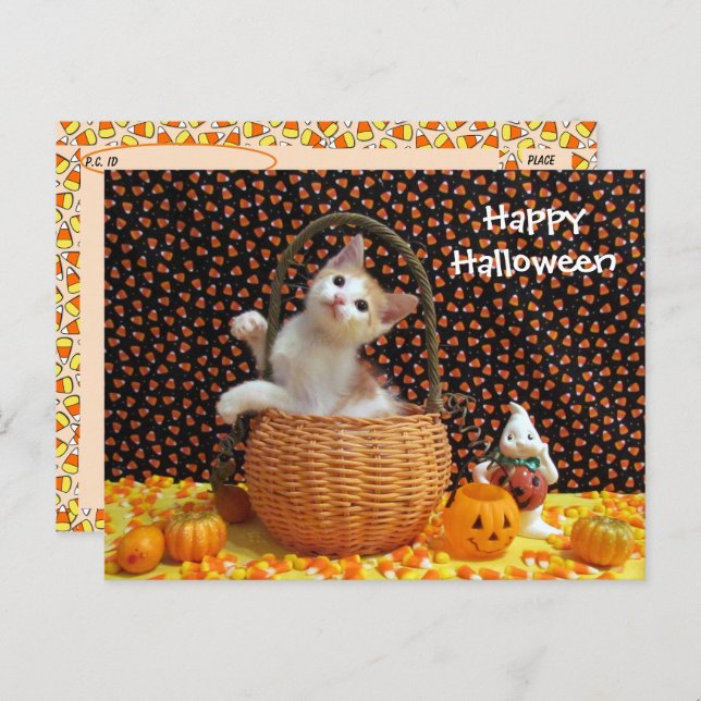Postcrossing Annie's Curious Halloween Cat  Postcard (Front/Back)