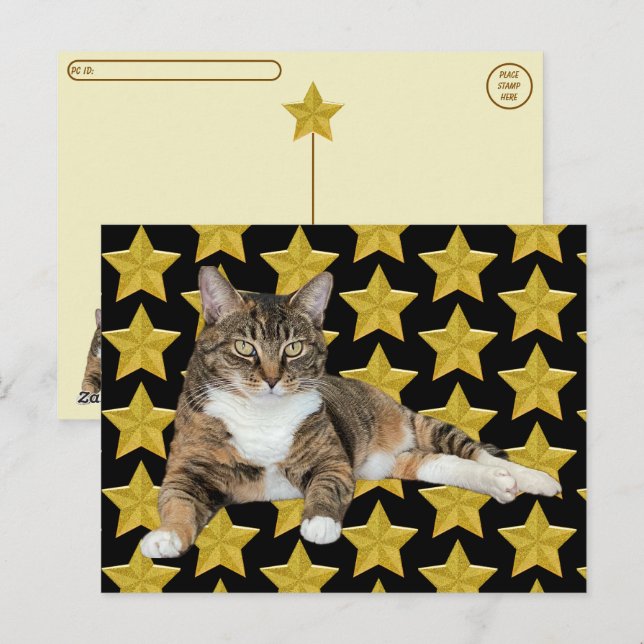 Postcrossing - Annie's Star : Cat Postcard (Front/Back)