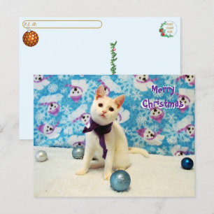 Postcrossing - Audrey's Christmas - Cat Postcard