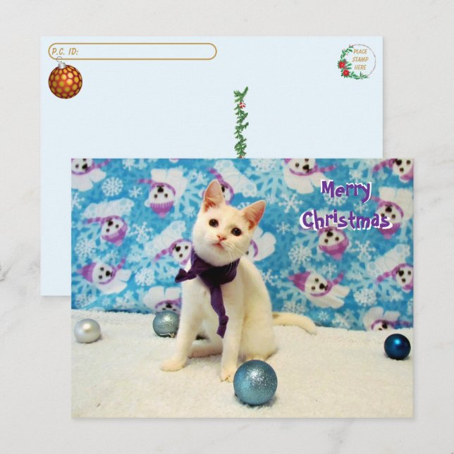 Postcrossing - Audrey's Christmas - Cat Postcard (Front/Back)