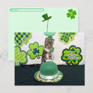 Postcrossing -Bandit The Cat's Lucky Gold Coins Postcard