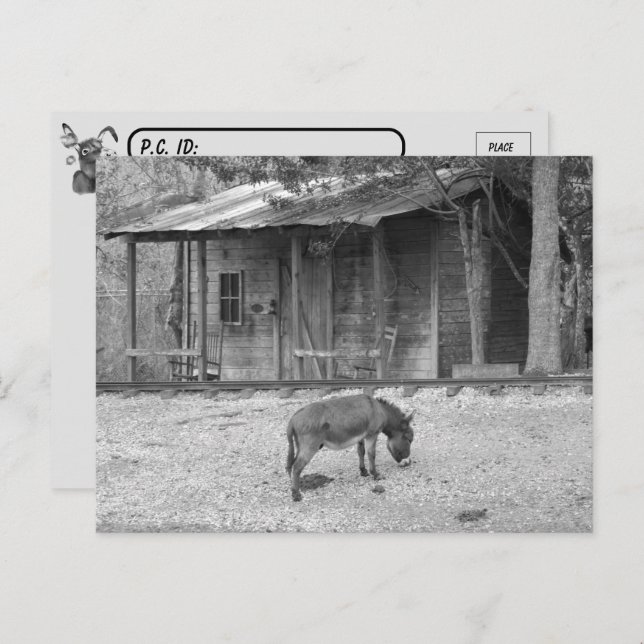 Postcrossing Cabin and Donkey in B&W Postcard (Front/Back)