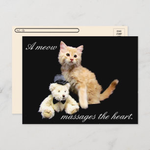 Postcrossing - Cat Pic - Sundrop and Teddy Bear Postcard