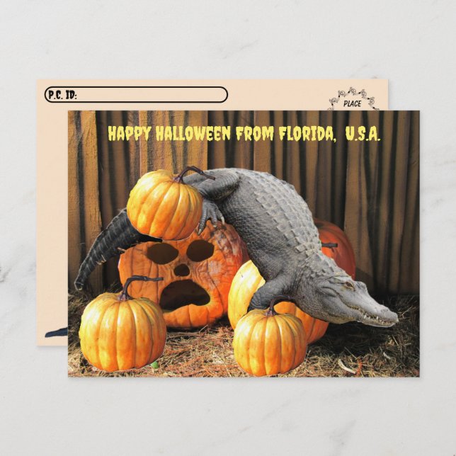 Postcrossing - Halloween Pumpkins and Gator  Postcard (Front/Back)