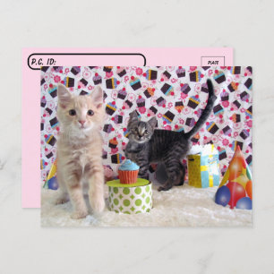 Postcrossing - Happy Birthday Cats Postcard