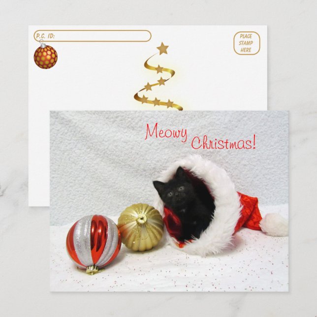 Postcrossing - Joon's Christmas - Cat / Kitten  Postcard (Front/Back)