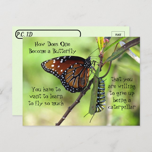 Postcrossing - Monarch Butterfly & Caterpillar Postcard (Front/Back)