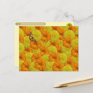 Postcrossing Monarch Butterfly & Marigolds Floral Postcard