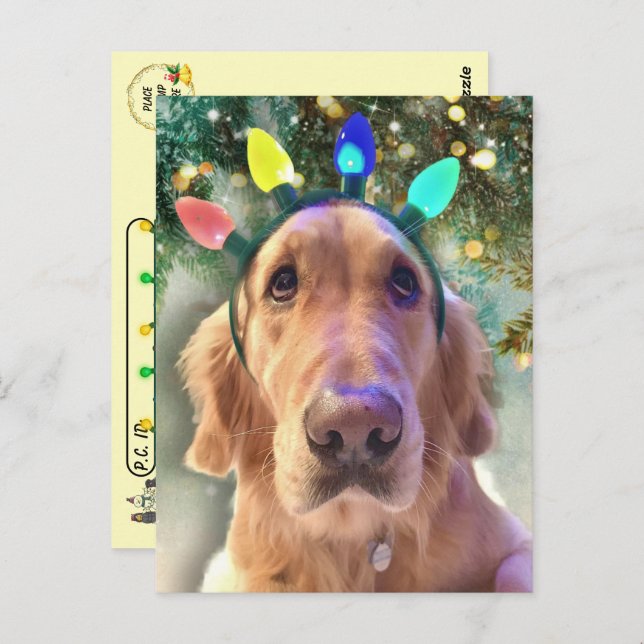 Postcrossing - Nova Golden Retriever's Christmas Postcard (Front/Back)