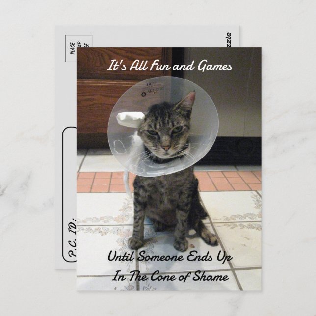 Postcrossing - Oliver The Cats Cone of Shame  Postcard (Front/Back)