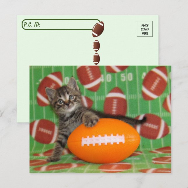 Postcrossing Patton Plays Football - Cat Postcard (Front/Back)