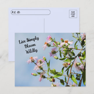 Postcrossing Pink Wildflower on Blue Quote Postcard