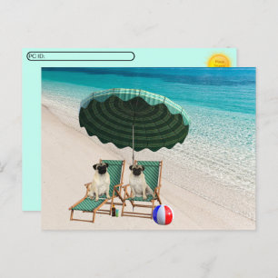 Postcrossing - Pugs at the Beach Postcard