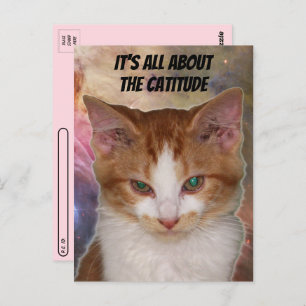 Postcrossing Reba's Catitude Postcard