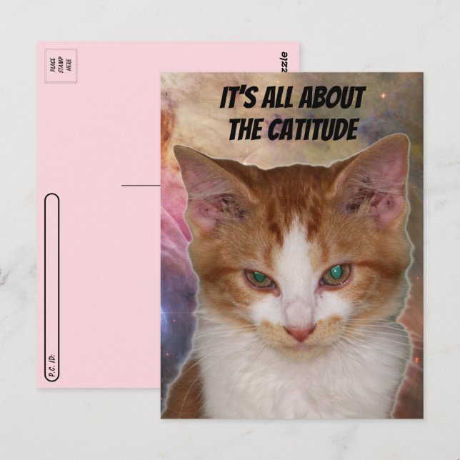 Postcrossing Reba's Catitude Postcard (Front/Back)