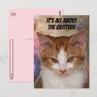 Postcrossing Reba's Catitude Postcard