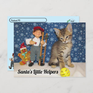 Postcrossing - Santa's Little Helpers - Cat & Elf Postcard