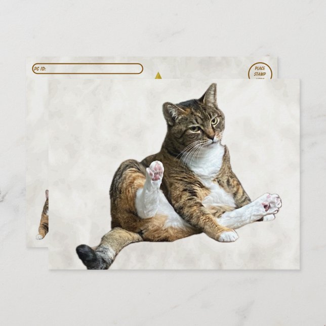 Postcrossing - Silly Cat Pose - Annie's Postcard (Front/Back)