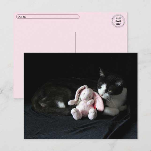 Postcrossing Some Bunny Loves Me - Cat Postcard (Front/Back)