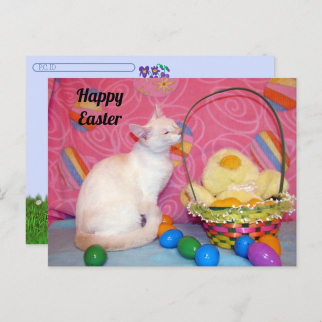 Postcrossing - Tiffany's Easter Basket = Cat Postcard (Front/Back)