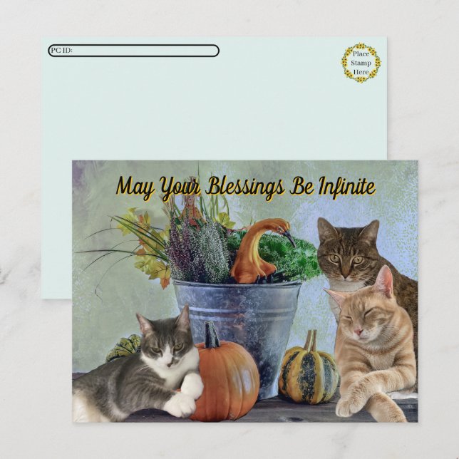 Postcrossing Tito Taz & Annie's 2025 Thanksgiving  Holiday Postcard (Front/Back)