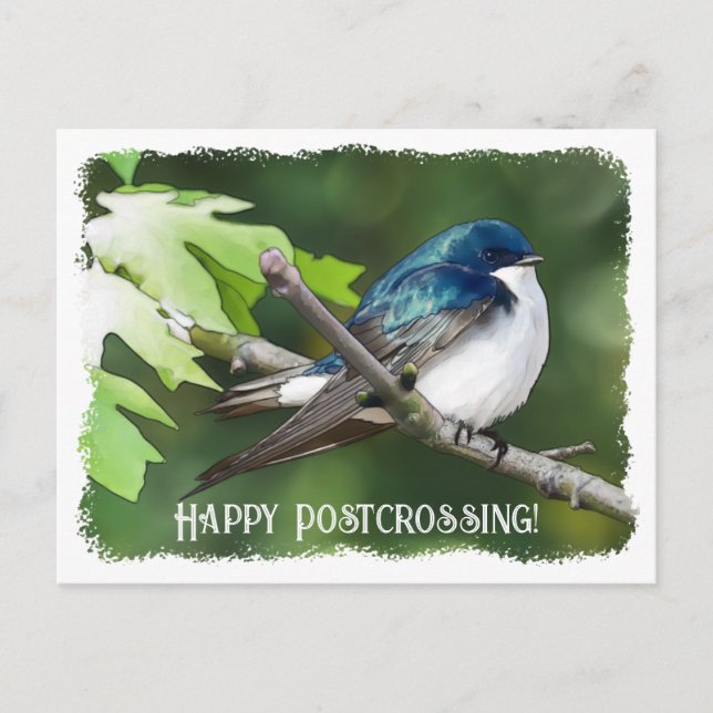 Postcrossing Tree Swallow - Postcard (Front)