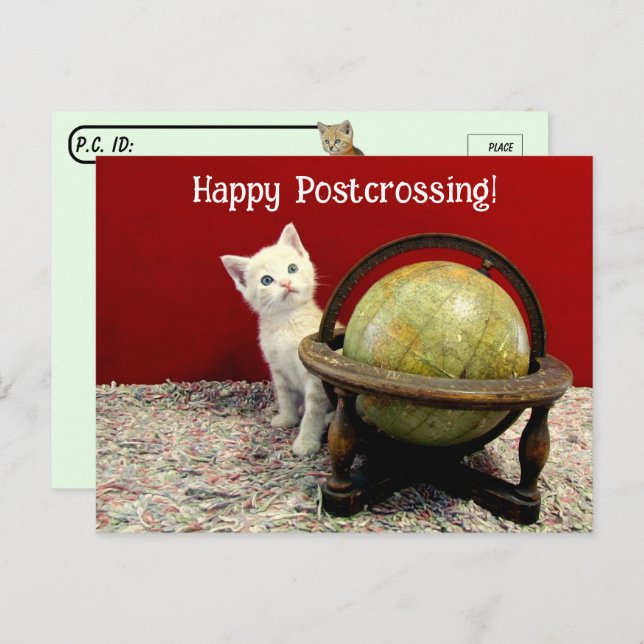 Postcrossing - Tuffy McDuff Around The World Cat  Postcard (Front/Back)