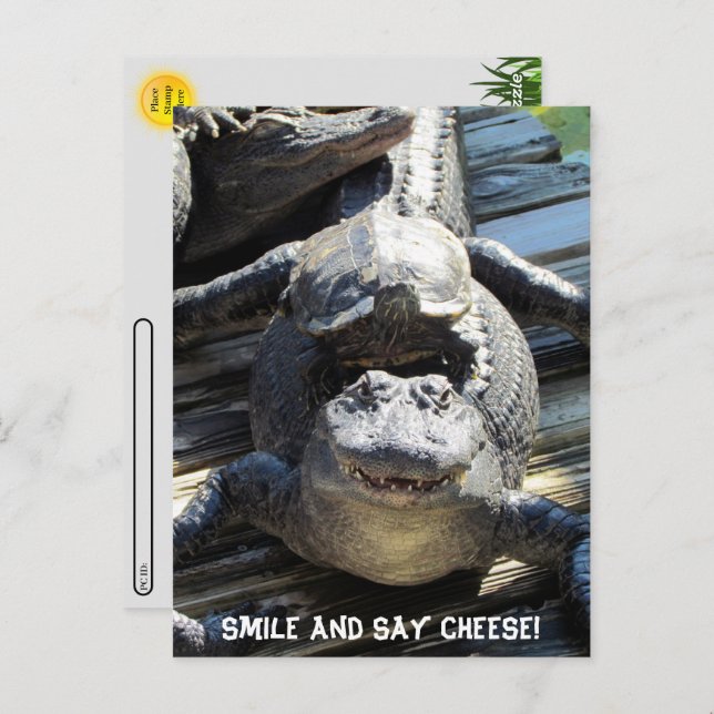 Postcrossing - Ultimate Florida Tourist Postcard  (Front/Back)