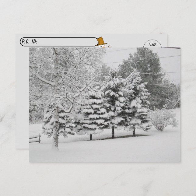 Postcrossing - Vermont's Snowy Winter in B&W Postcard (Front/Back)
