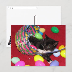 Postcrossing - Versace's Easter Wishes Cat /Kitten Holiday Postcard