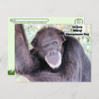 Postcrossing World Chimpanzee Day - July 14