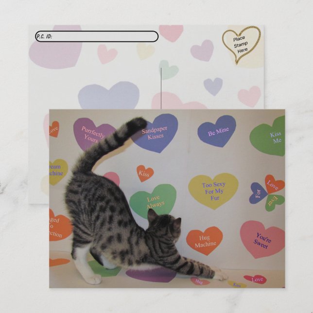 Postcrossing - Wyatt The Cat's Conversation Hearts Postcard (Front/Back)